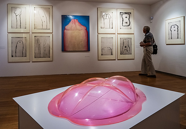 Ticho, klid a oduševnělost. Museum Kampa vystavilo malby a grafiky Miloše Ševčíka