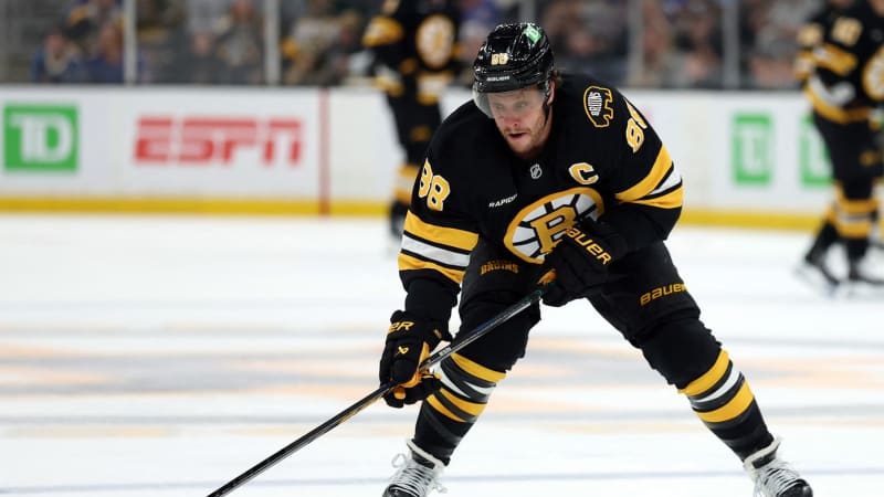 Zvířecí souboj v NHL: Medvědi vyzvou divočáky. Zacha čeká na první body, Pastrňák zase na gól