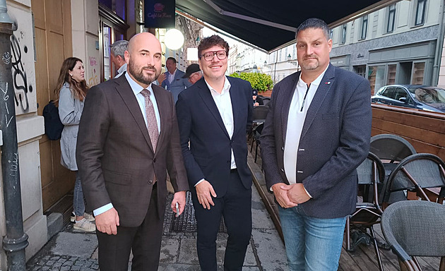 Výsledky voleb v Plzni: ANO vede s velkým náskokem, o polovinu méně má STAN